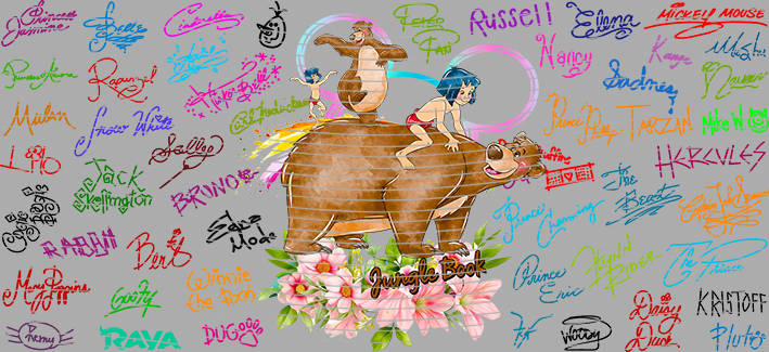 16oz Disney style-D-1317